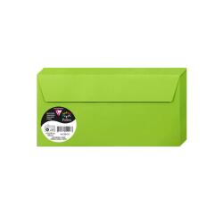 Pollen Envelopes - 110x220mm - 120gsm - Pack of 50 - Mint