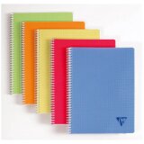 Cahier reliure intégrale Linicolor FRESH 24x32cm 100 pages petits carreaux couverture plastique polypropyène rainuré Couleur aléatoire - Assortis