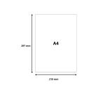 Pk 100 Exa Record Cards 210/297 White - White