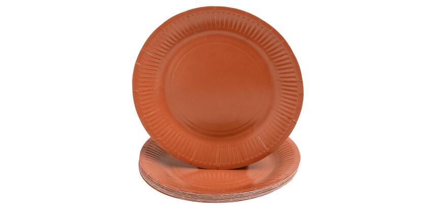 20 Assiettes en carton rondes, 23 cm