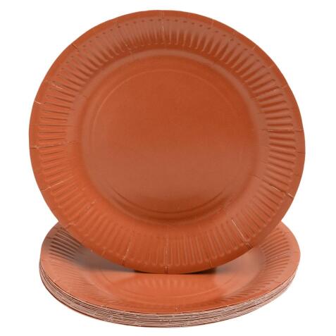 20 Assiettes en carton rondes, 23 cm