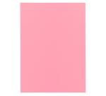 Paquete de 100 Subcarpetas de papel Exacompta SUPER 60 g/m2 - Colores surtidos