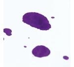 Buvard paquet 100F A4 250g