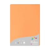 Etui de 25 feuilles Pollen 210x297 210g/m2