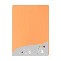Etui de 25 feuilles Pollen 210x297 210g/m2