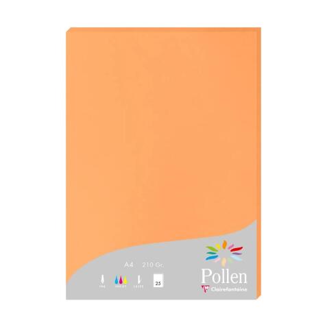 Etui de 25 feuilles Pollen 210x297 210g/m2