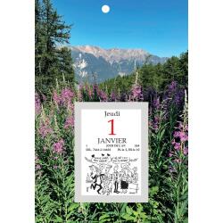Bloc éphéméride comique Classique sur plaque illustrée 18 x 26 cm 2026 - Visuels assortis