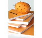 Bloc agrafé Rhodia N°19 21x31,8 cm 80 feuillets ligné avec marge 80g - Orange