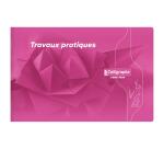 Cahier Travaux Pratiques piqué 7000 à l'italienne 24x16cm 32 pages uni 70 g - Assortis