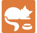 Set de 6 pochoirs enfants, Chats - Orange