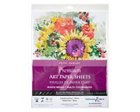 Sachet 12 feuilles Zeta 270g - 27,9x35,5cm - Blanc