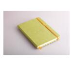 Rhodiarama carnet rembordé rigide A5 192 pages ligné papier ivoire 90g fermeture élastique - Anis