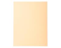 Confezione da 100 cartelle semplici Forever 220 - 24x32cm