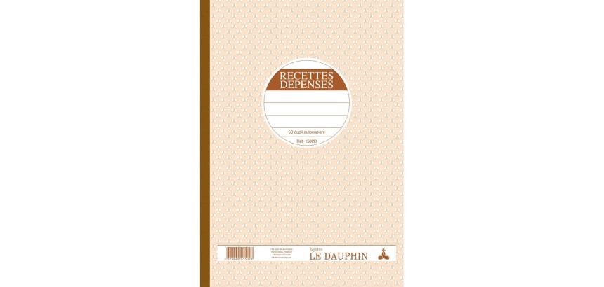 Manifold autocopiant 297X210 Recettes Dépenses 50 dupli - Avoine