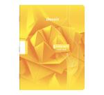 Cahier Dessin scolaire piqué 7000 17x22 cm 16 pages uni 90 g - Assortis