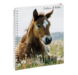 Cahier de textes Animaux 17 x 22 cm - Visuels assortis