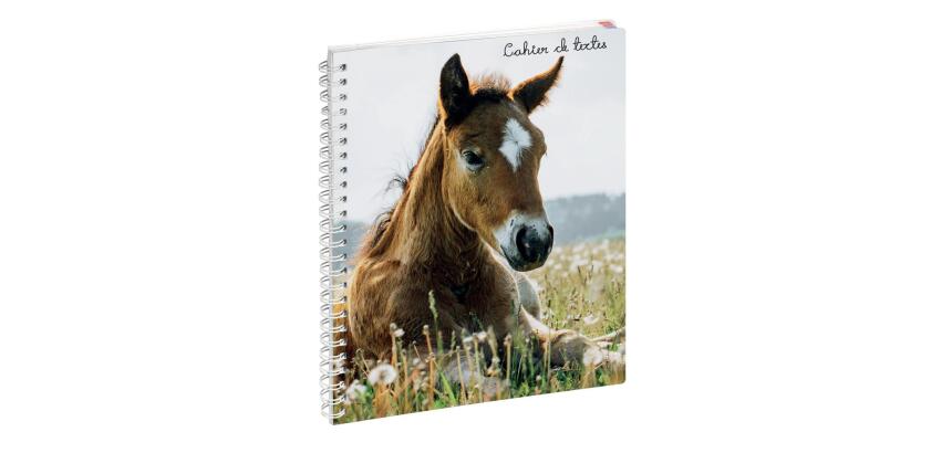 Cahier de textes Animaux 17 x 22 cm - Visuels assortis