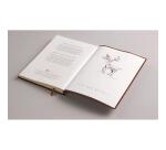 Carnet brochure cousue Flying Spirit A5 180 pages ligné couverture cuir glacé papier ivoire 90g - Cognac