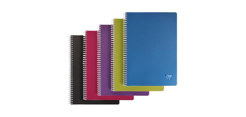 Cahier reliure intégrale Linicolor INTENSIVE A4 100 pages petits carreaux couverture plastique polypropyène rainuré Couleur aléatoire - Assortis