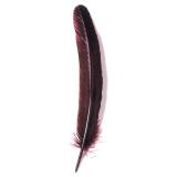 Plumes d'oie taillées 28cm