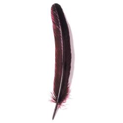 Plumes d'oie taillées 28cm