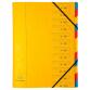 File Europa Multi File A4 355g 12P