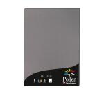 Etui de 50 feuilles Pollen 210x297mm 120g/m2