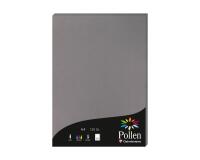 Etui de 50 feuilles Pollen 210x297mm 120g/m2