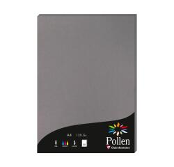 Etui de 50 feuilles Pollen 210x297mm 120g/m2