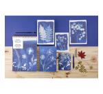 Cyanotype, Carnet brochure souple A5 14,8x21 cm, 160 pages, ligné, dos brut, ass.