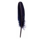 Plume d'oie taillée sur broche