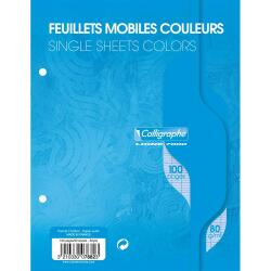 Feuillets mobiles sous film 7000 17x22 cm 100 pages perforées 2 trous grands carreaux 80 g
