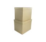 Lot de 2 boîtes rectangles 25x20x20/23,5x18,5x19,5cm - Kraft