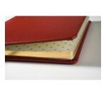 Livre d'or Cuir Alpille 140 pages ivoire - 26x22cm vertical