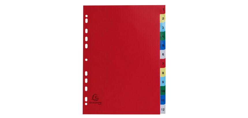 Intercalaires imprimés numériques polypropylène 12/100e - 12 positions - A4 - Assorties vives