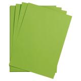Maya paquet 25F A3 270g - Vert mousse