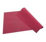 Barquette de 100 sets de table spundbond, unis - Format 30x40cm