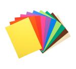 Confezione da 10 cartelle semplici FLASH 220 - 24x32cm - Colori assortiti