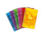 Carnet reliure intégrale 7000 9x14 cm 100 pages petits carreaux 70 g - Assortis
