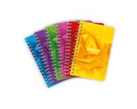 Carnet reliure intégrale 7000 9x14 cm 100 pages petits carreaux 70 g - Assortis
