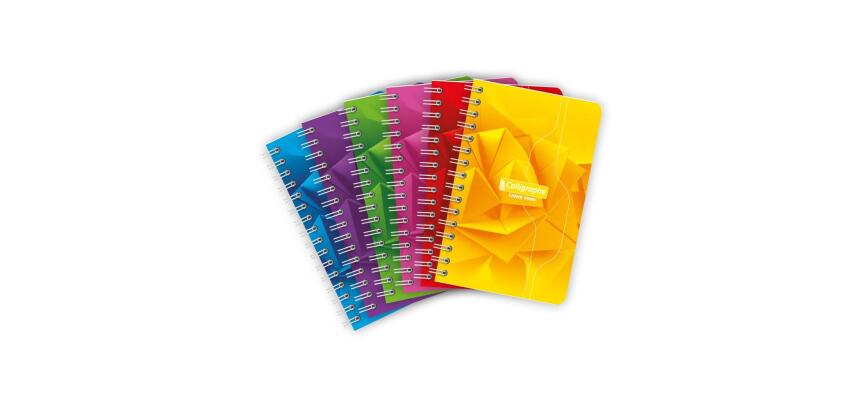 Carnet reliure intégrale 7000 9x14 cm 100 pages petits carreaux 70 g - Assortis