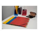 Trieur agrafé avec élastiques 12 compartiments