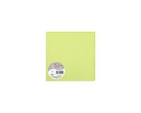 Paquet de 25 cartes simples Pollen 160x160mm 210g/m2