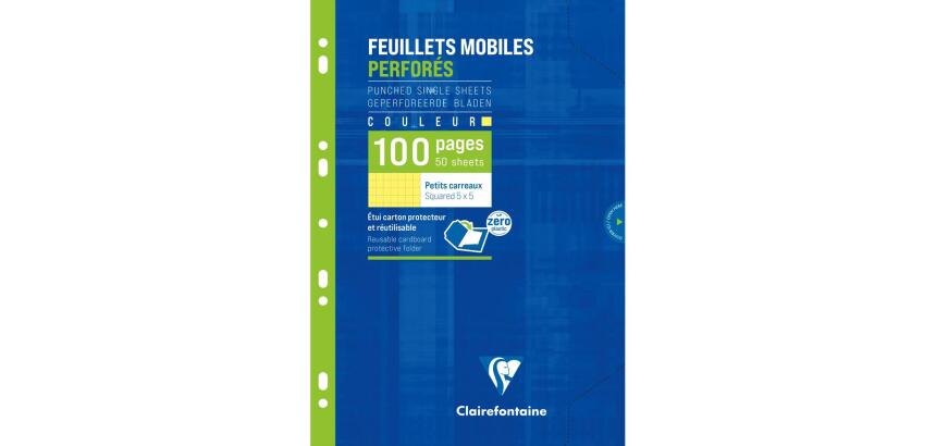 Feuillets mobiles de couleur sous étui A4 100 pages perforées petits carreaux