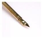 PLUME D'OIE+PLUME METAL SUR BROCH