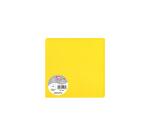Clairefontaine Pollen Cards - 160 x 160 mm - 210gsm - Pack of 25