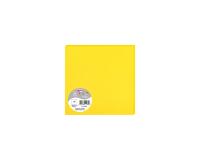Paquet de 25 cartes simples Pollen 160x160mm 210g/m2 - Soleil