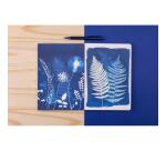 Cyanotype, Carnet brochure souple A5 14,8x21 cm, 160 pages, ligné, dos brut, ass.