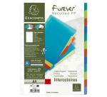 Dividers Forever PP A4 12 Part - Assorted colours