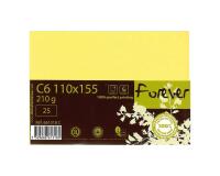 Carte 110x155 FOREVER 210g pqt 25